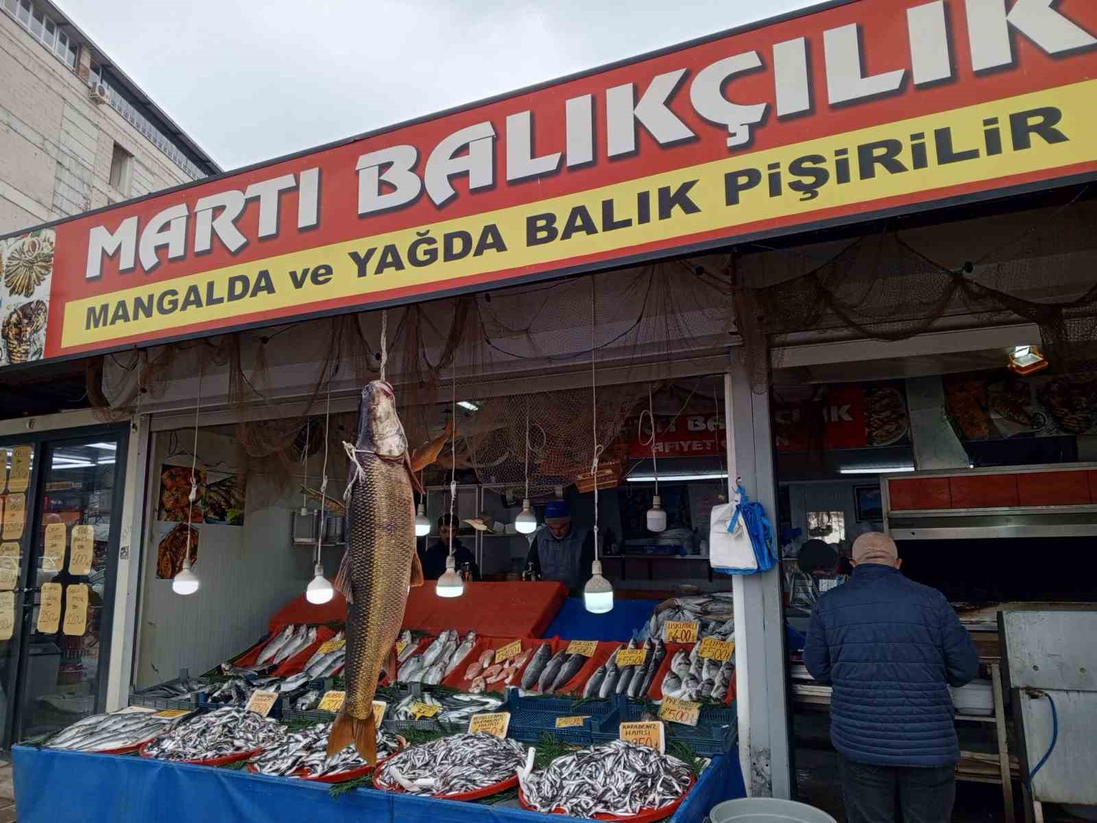 Karakaya Barajı’nda yakalanan 42 kiloluk turna balığı ilgi gördü
