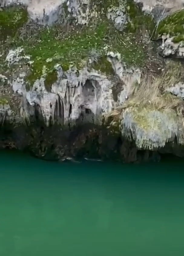 Karakoçan’da su samurları görüntülendi
