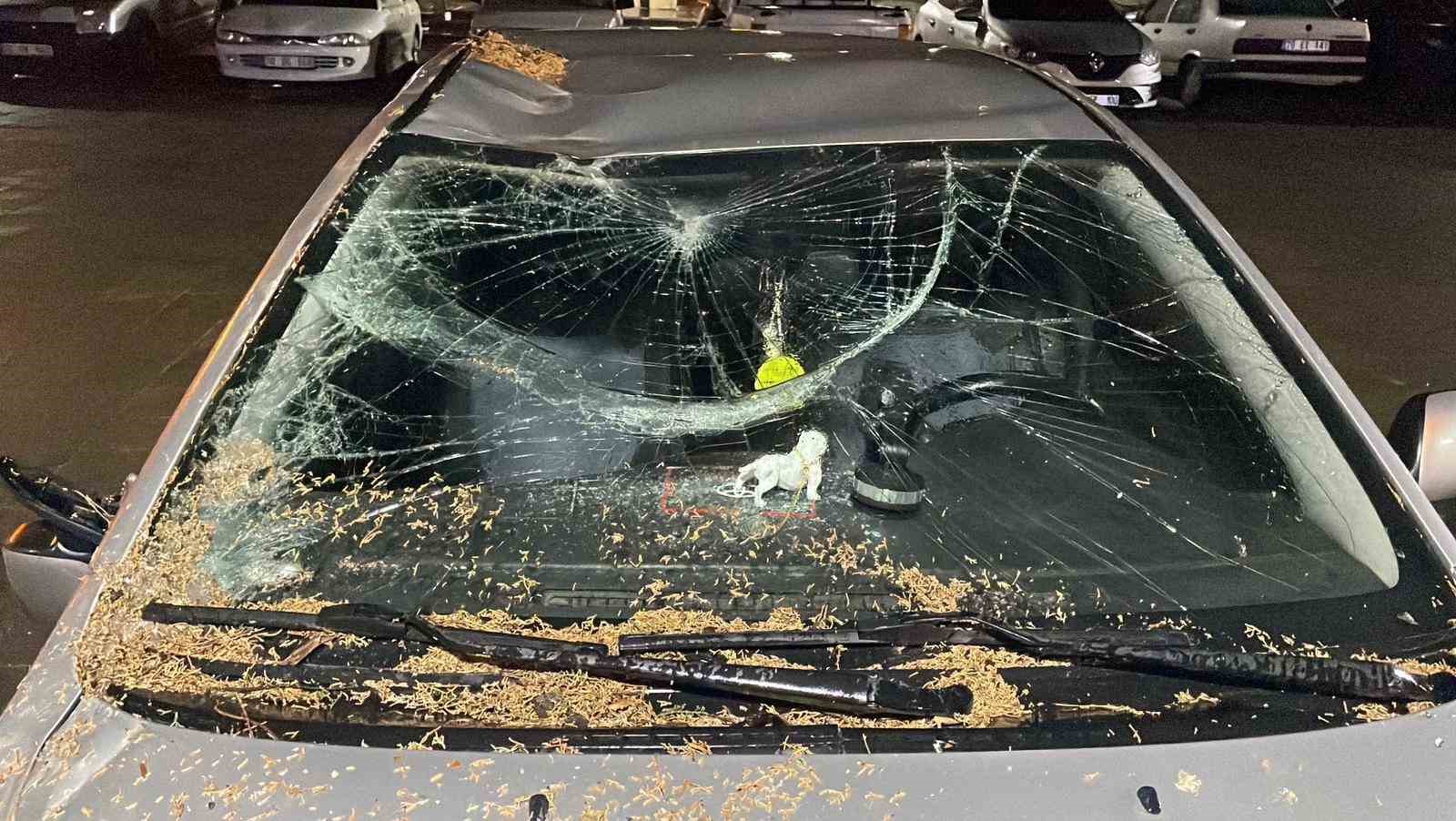 Karaman’da fırtına hayatı olumsuz etkiledi
