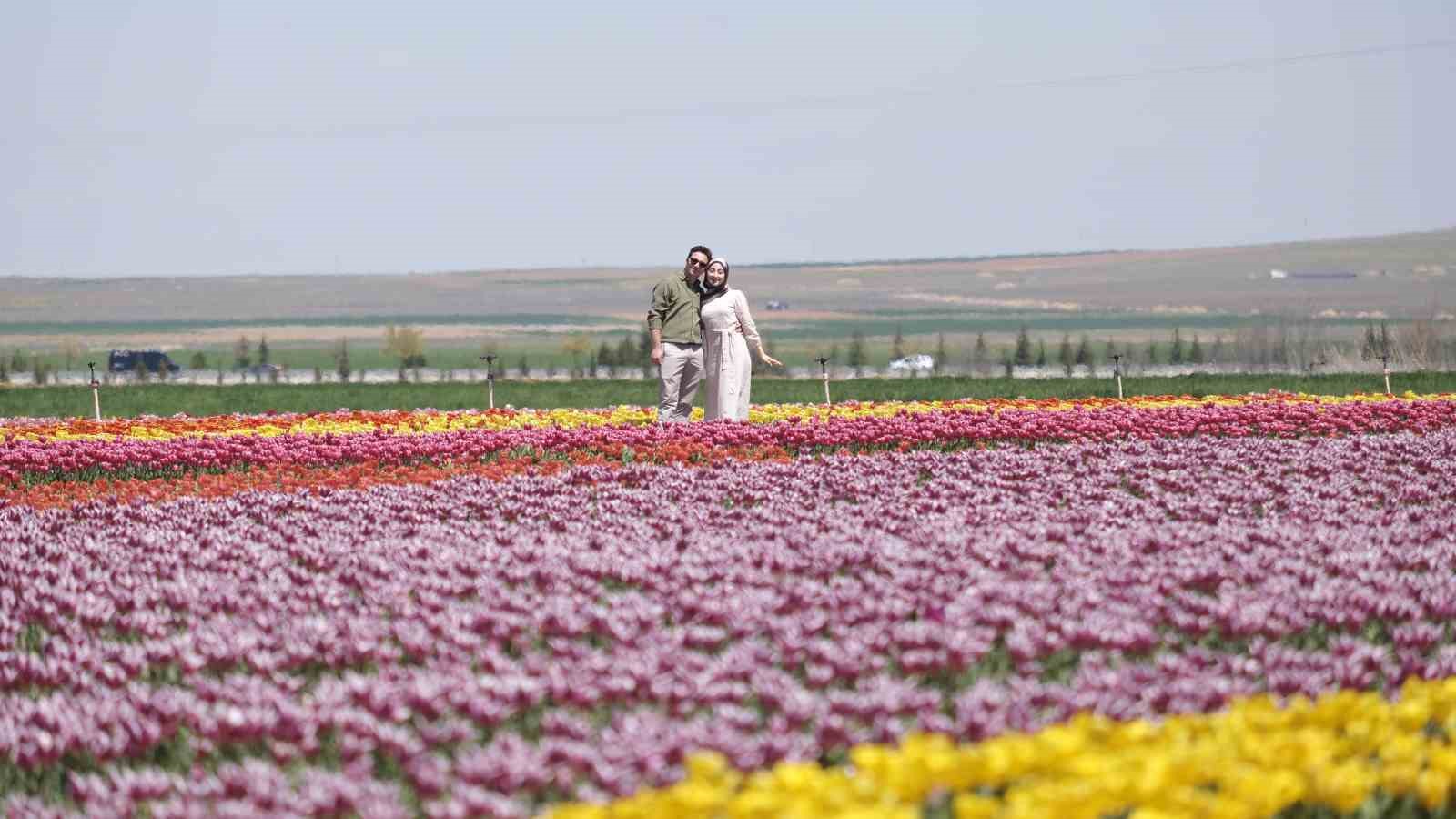 Karaman’da lale tarlasına ziyaretçi akını: 2 günde 30 bin kişi gezdi

