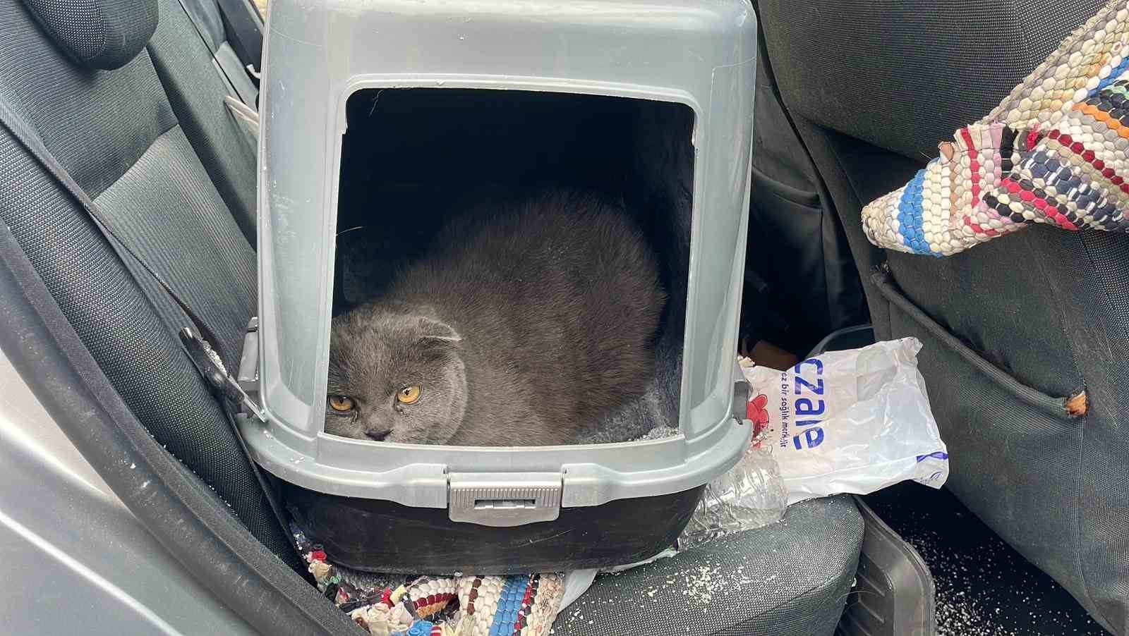 Karaman’da otomobil şarampole takla attı: 1 yaralı
