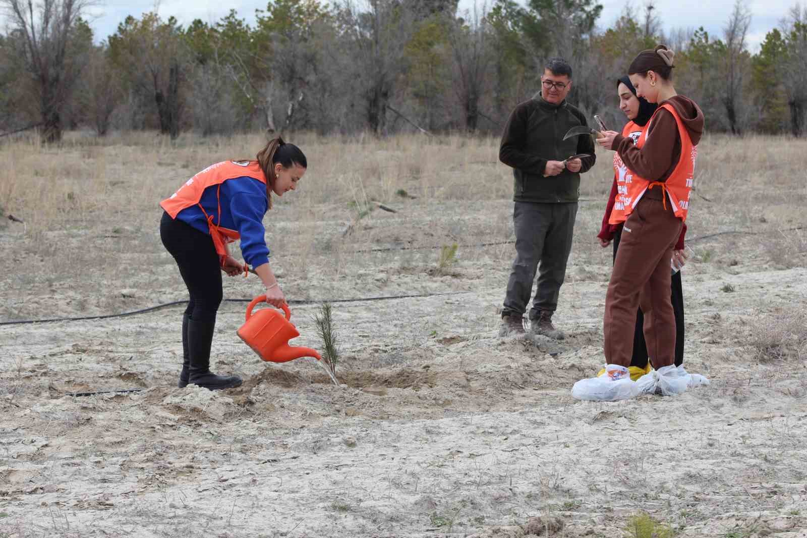 Karapınar’da erozyon sahasına fidan dikildi
