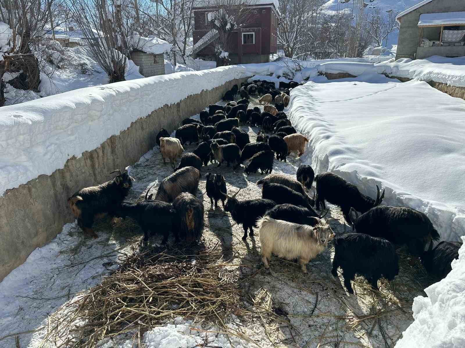 Kardan tünellerden geçen yaşam
