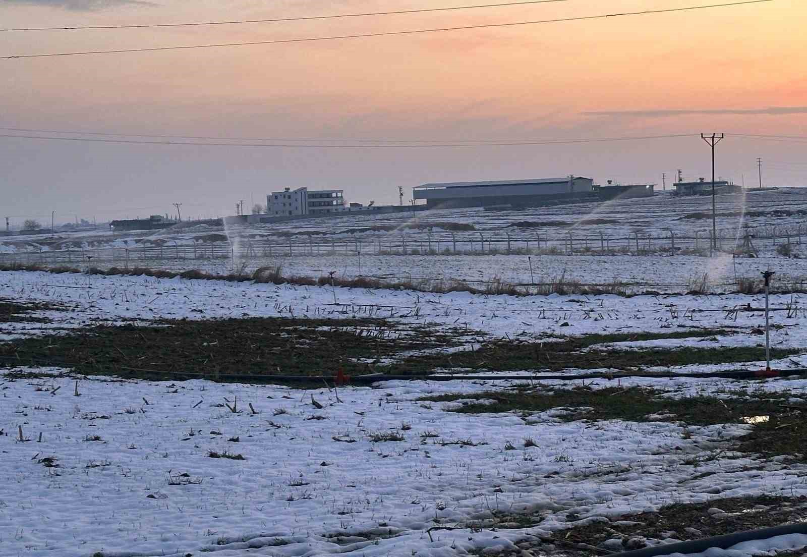 Karla kaplı arazide kaçak elektrikle sulama
