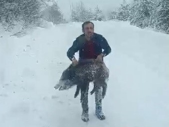 Karlı yolda domuzu elleriyle yakalayan adam konuştu: "Bir anı olsun diye yakaladım, kimseye tavsiye etmem"
