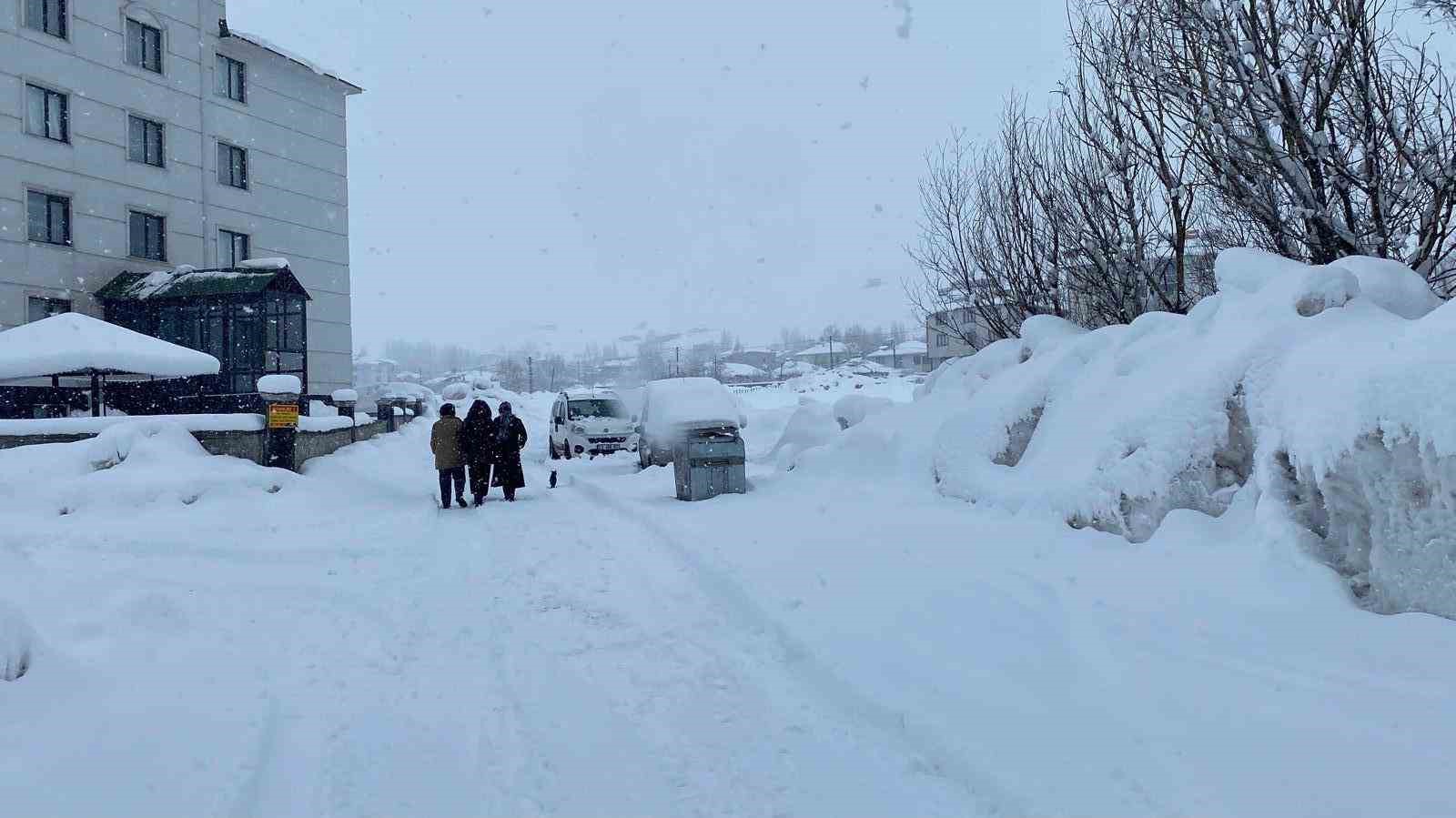Karlıova’da kar yağışı yeniden etkili oldu
