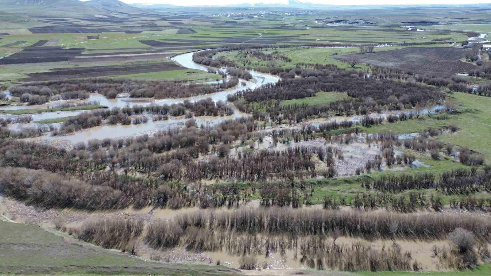 Kars Çayı taştı: Ağaçlar sular altında kaldı

