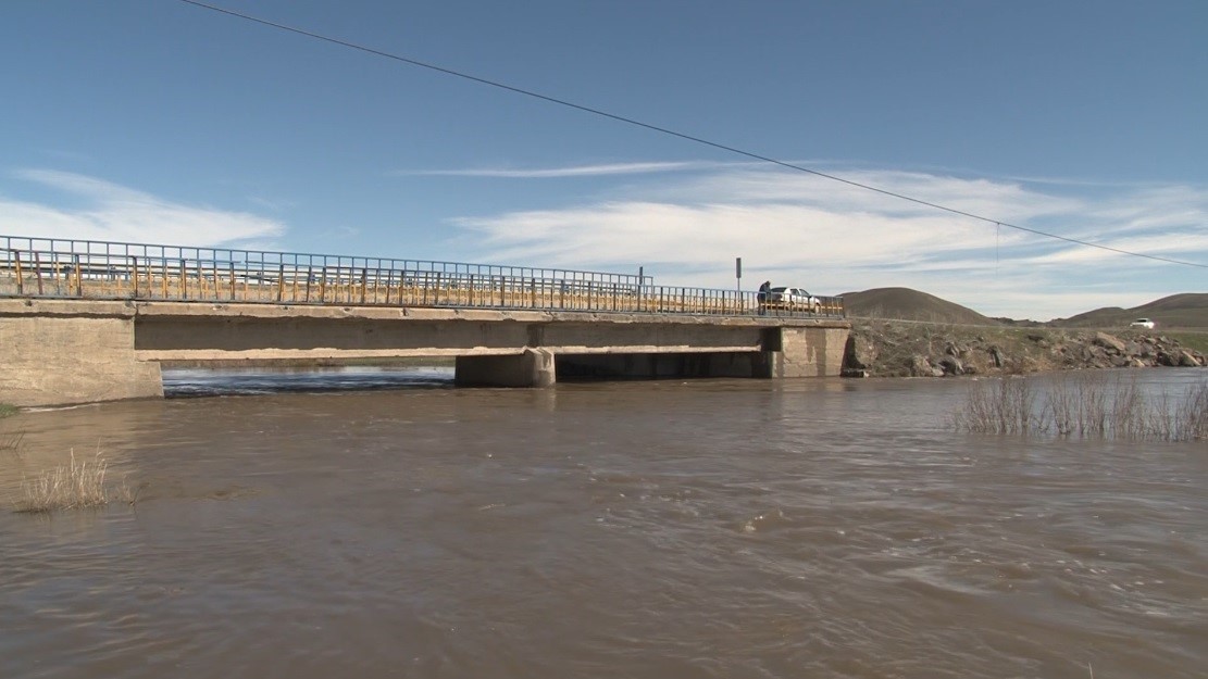 Kars Çayı taştı: Ağaçlar sular altında kaldı
