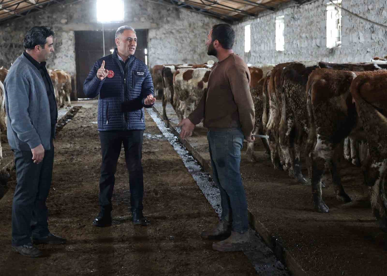 Kars Tarım ve Orman Müdürlüğü sahada: Bayraktar Köyü’nde büyükbaş işletmesine ziyaret
