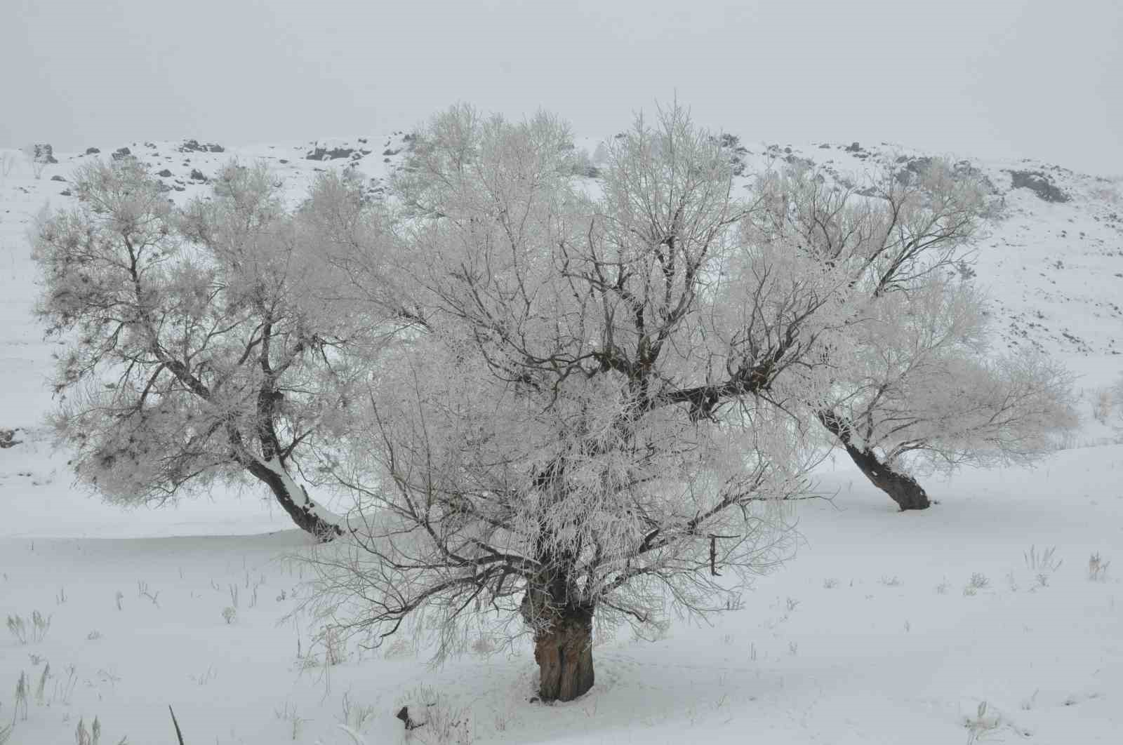 Kars’ın soğuğu kirpik dondurdu

