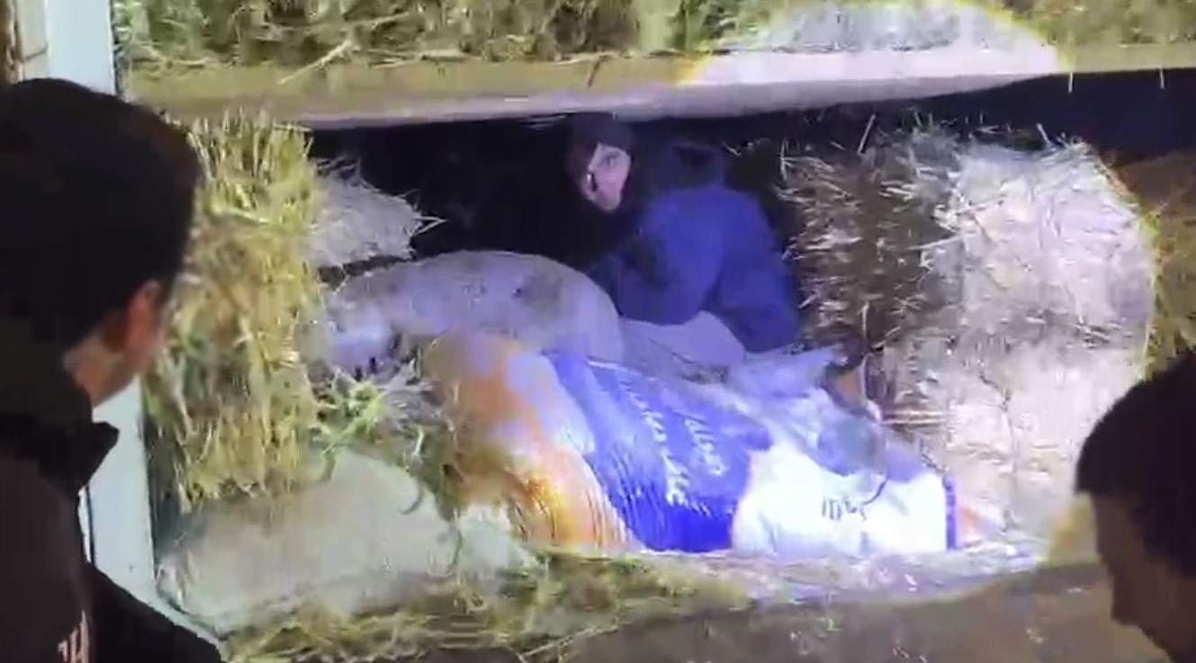 Kars’ta saman balyaları arasından kaçak göçmen çıktı: 1 tutuklama
