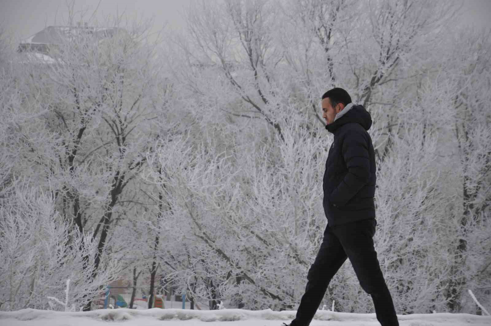 Kars’ta soğuktan ağaçlar kırağı tuttu
