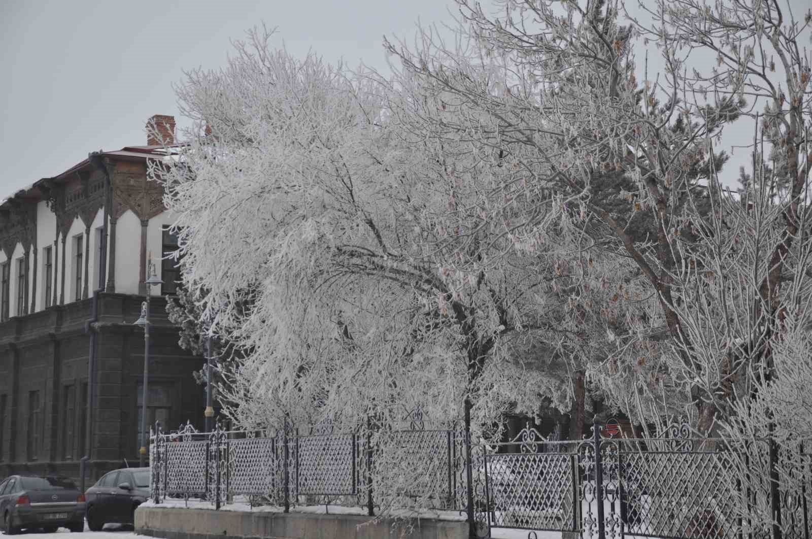Kars’ta soğuktan ağaçlar kırağı tuttu

