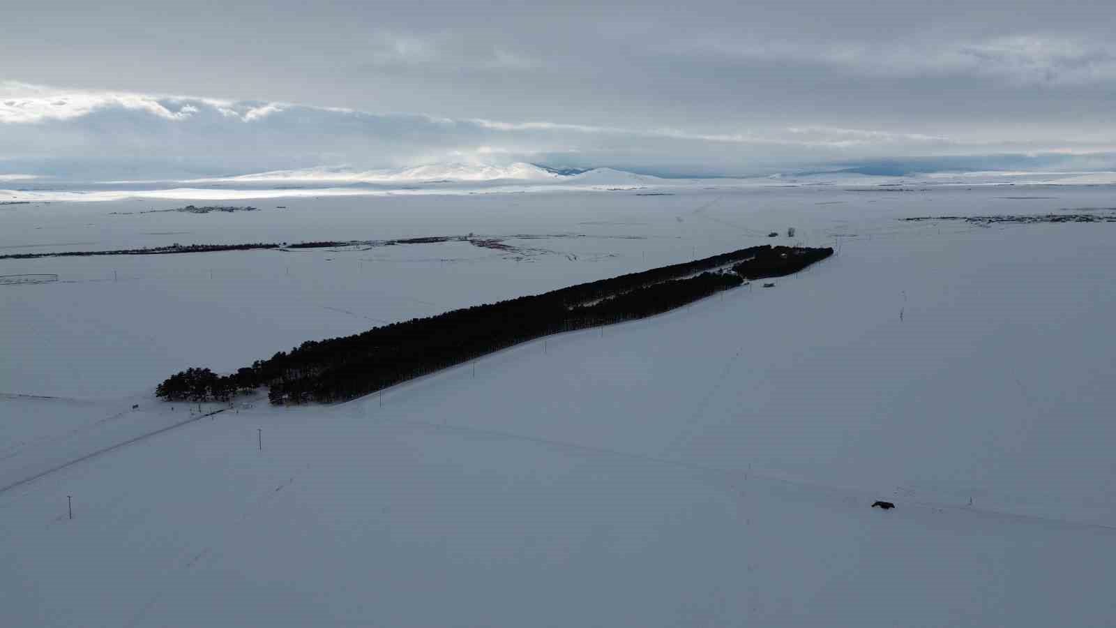 Kars’ta tarihi istasyonda kış masalı
