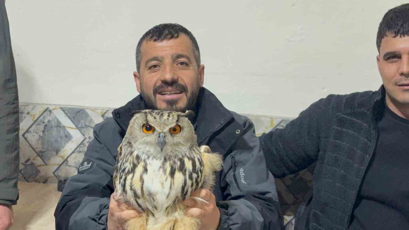 Kars’ta yaralı puhuya şefkat eli
