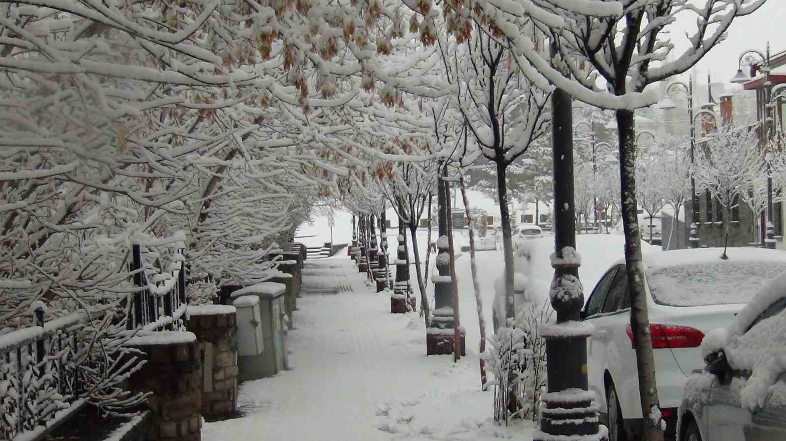 Kars’ta yer gök beyaz: Kar kalınlığı 30 santimi aştı
Kars’ta yer gök beyaz: Kar kalınlığı 30 santimi aştı