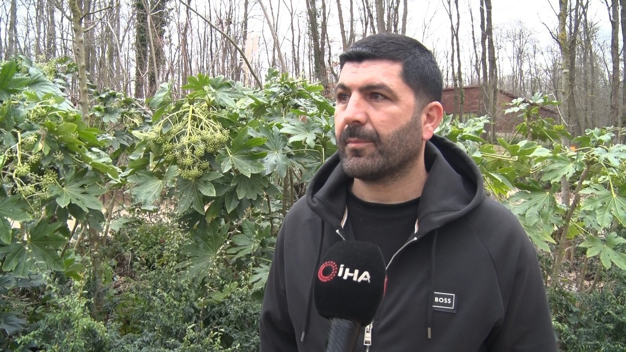 Kartepe’deki kavganın en büyük mağduru çocuklar oldu: "Babama 5 kişi saldırdılar, kafasını ATV’ye vurdular"
Kartepe’deki kavganın en büyük mağduru çocuklar oldu: "Babama 5 kişi saldırdılar, kafasını ATV’ye vurdular"