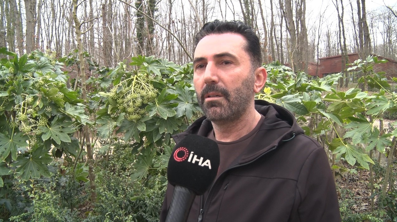 Kartepe’deki kavganın en büyük mağduru çocuklar oldu: "Babama 5 kişi saldırdılar, kafasını ATV’ye vurdular"
Kartepe’deki kavganın en büyük mağduru çocuklar oldu: "Babama 5 kişi saldırdılar, kafasını ATV’ye vurdular"