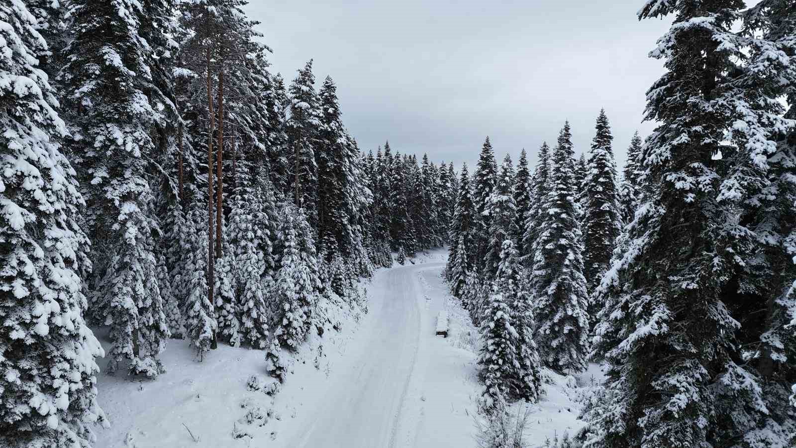 Kastamonu ormanlarında kış güzelliği

