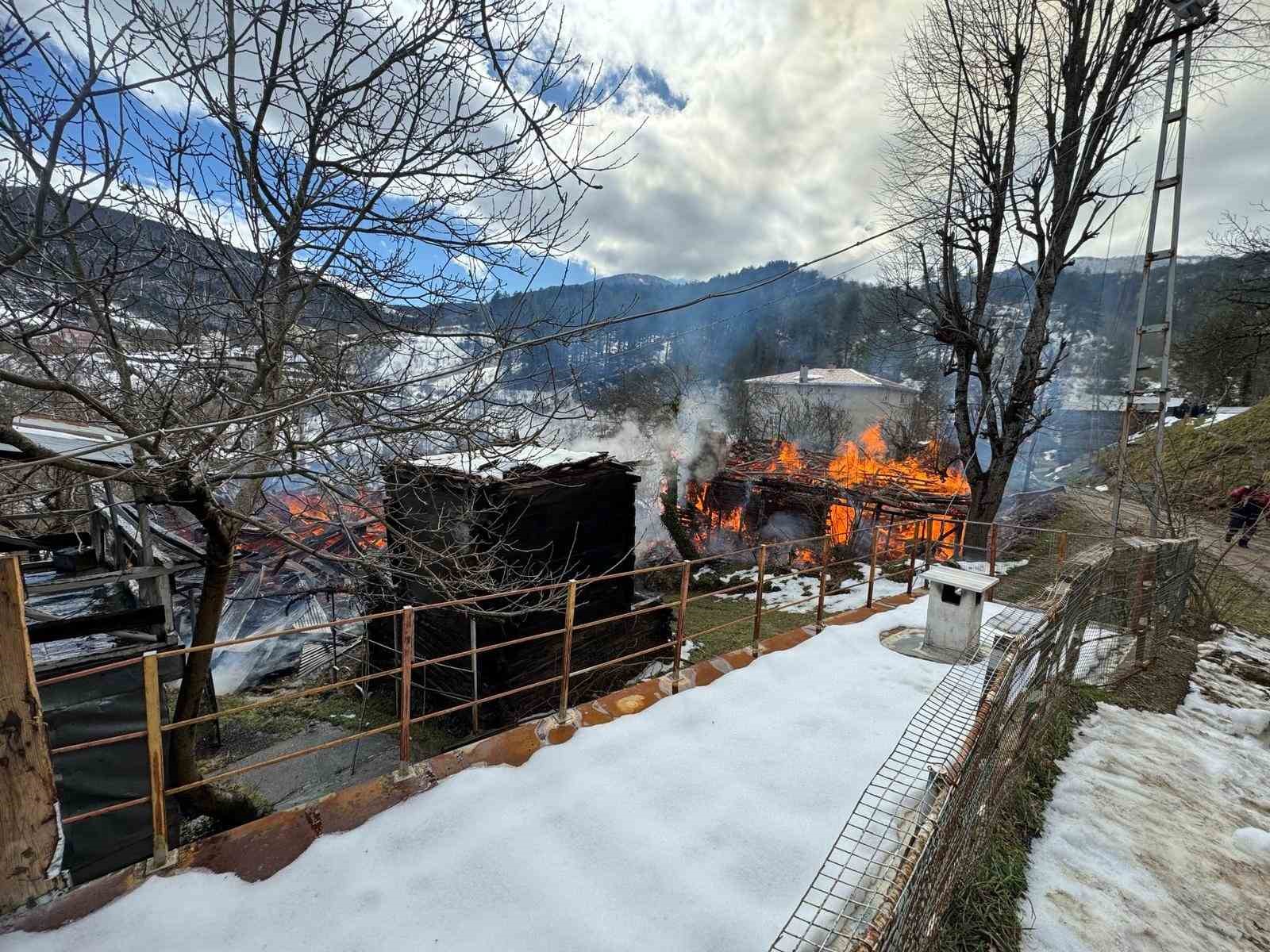 Kastamonu’da 2 ev ve bir ambar alev alev yandı
