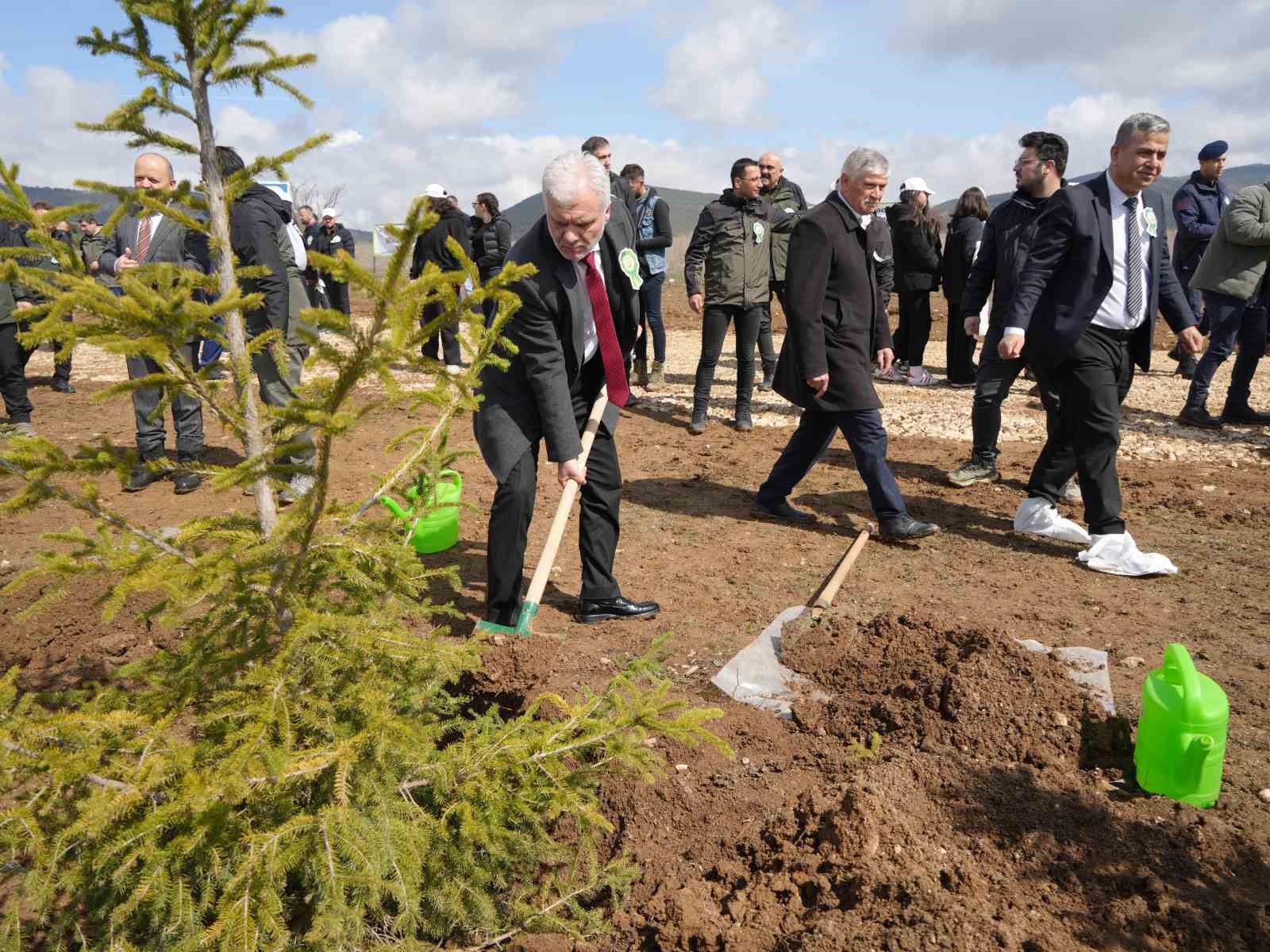 Kastamonu’da 210 bin fidan toprakla buluşturulacak
