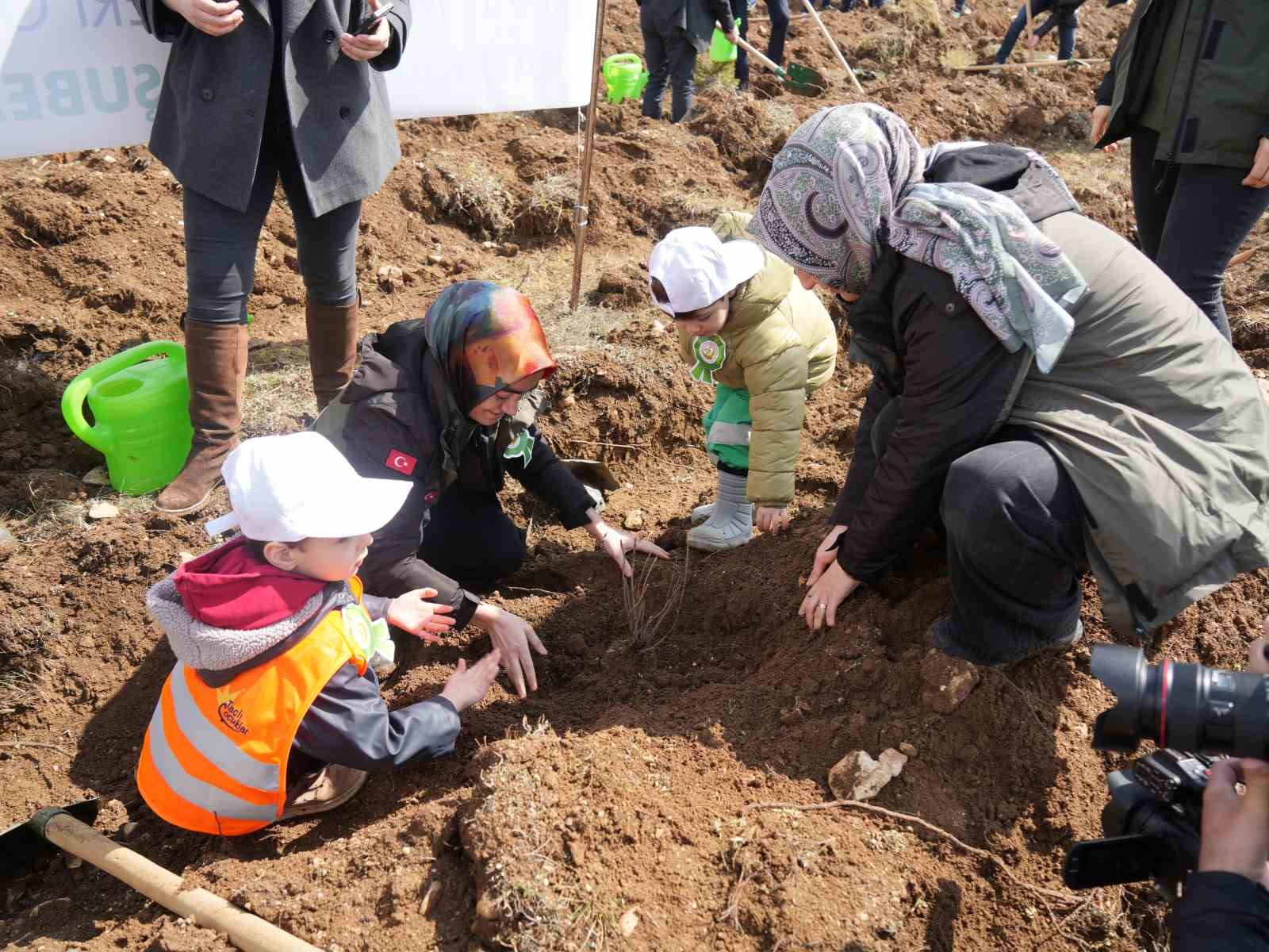 Kastamonu’da 210 bin fidan toprakla buluşturulacak
