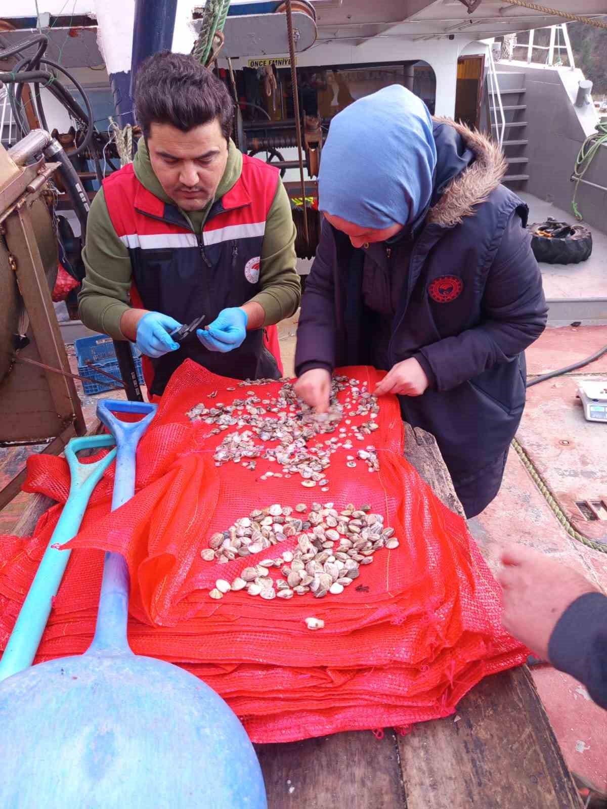 Kastamonu’da beyaz kum midyesi avcılığına yönelik denetimler sürüyor
