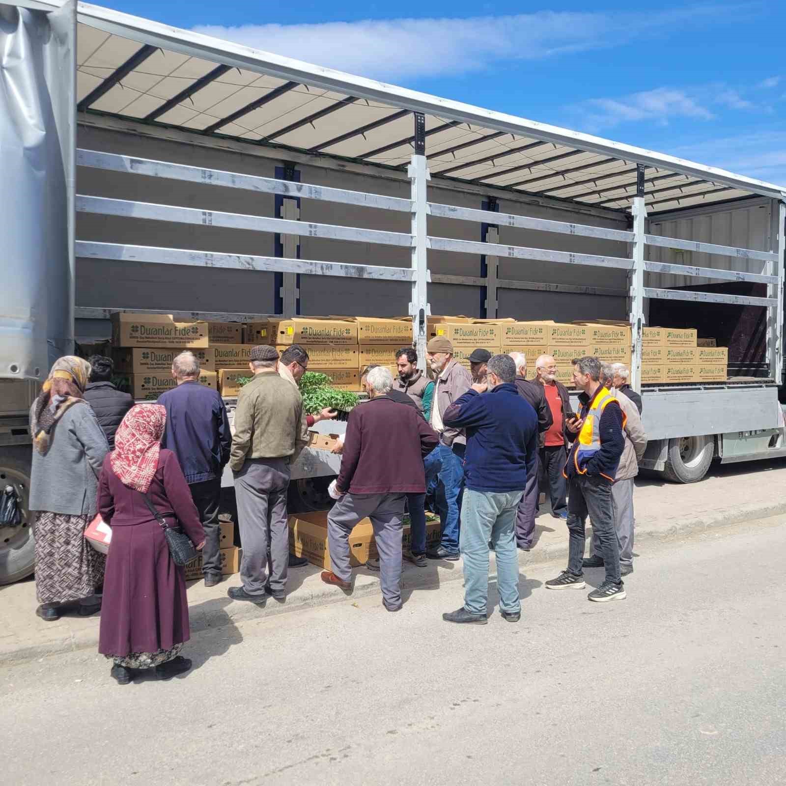 Kastamonu’da çiftçilere 147 bin adet sebze fidesi dağıtıldı
