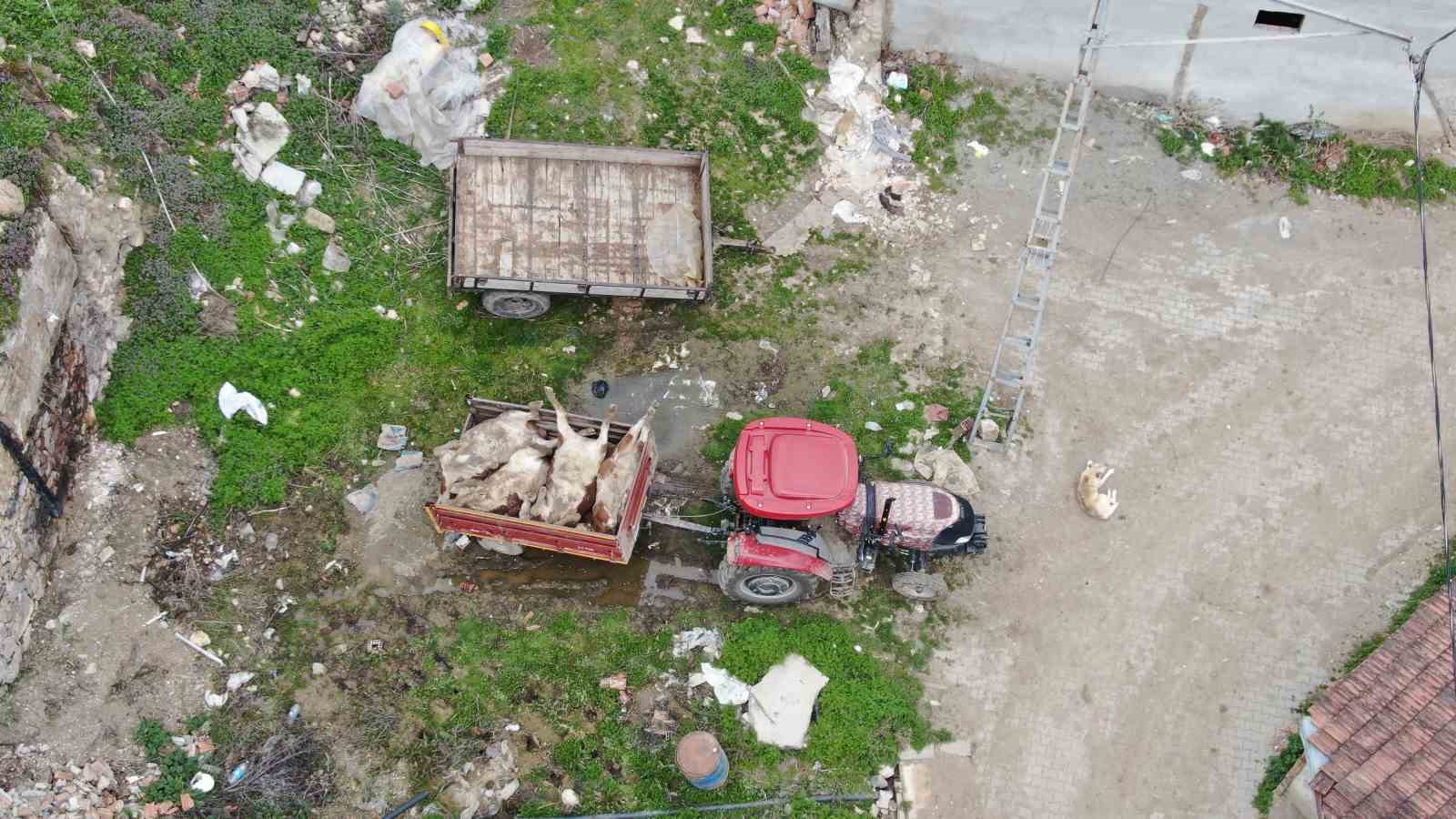 Kastamonu’da çıkan fırtına sırasında ahır çöktü: 4 büyükbaş hayvan telef oldu
