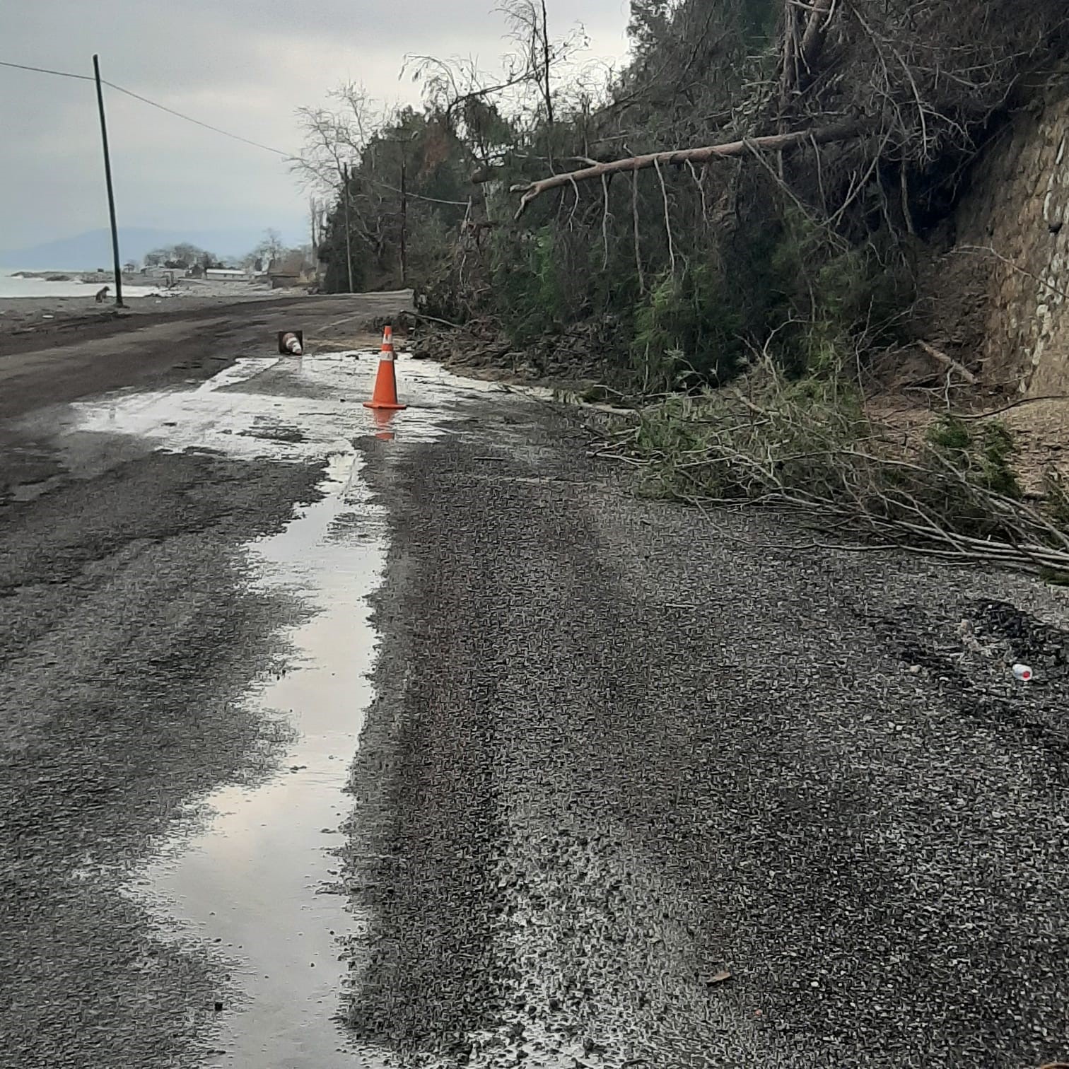 Kastamonu’da heyelanda istinat duvarını aşan ağaçlar yola kadar geldi
