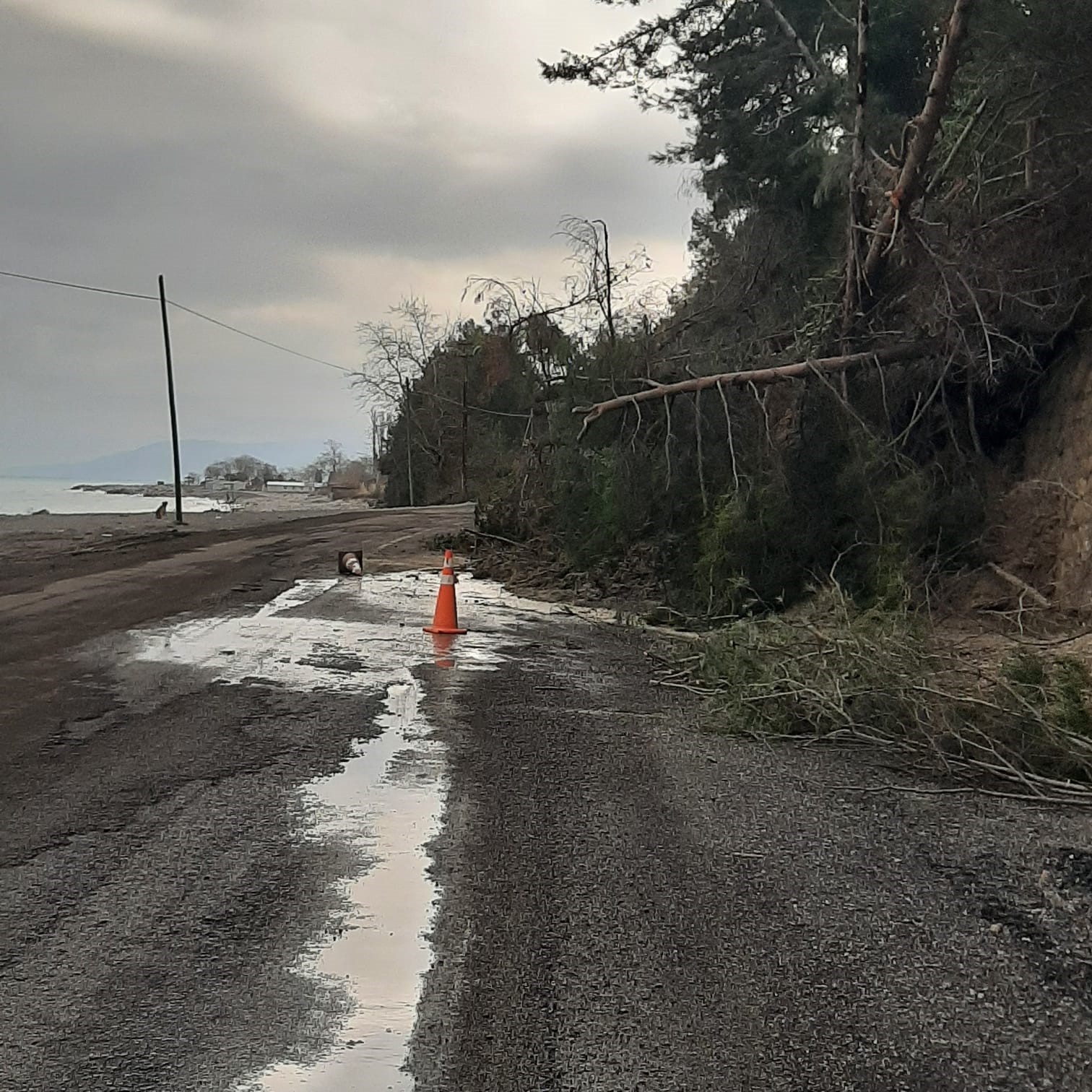 Kastamonu’da heyelanda istinat duvarını aşan ağaçlar yola kadar geldi
