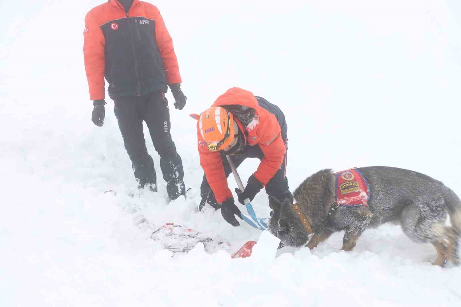 Kastamonu’da Ilgaz Dağı’nda "Çığda Arama Kurtarma" tatbikatı gerçekleştirildi
