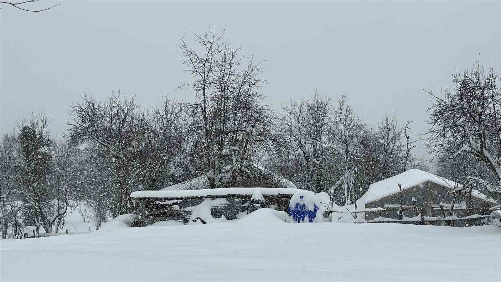 Kastamonu’da kar 167 köy yolunu ulaşıma kapattı
