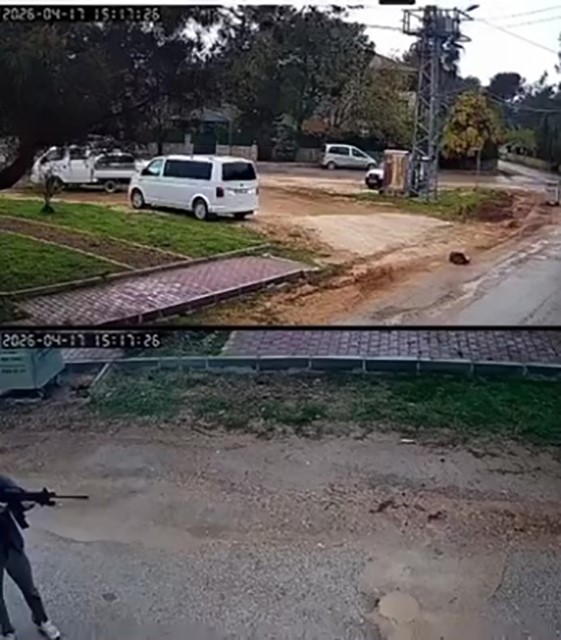 Kavga eden sokak köpeklerine tüfekle ateş edip bir köpeği öldürdü
