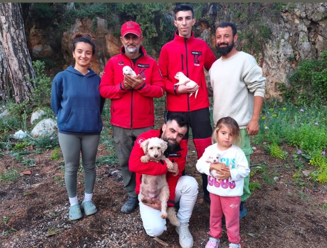 Kaya içerisindeki yarığa düşen 6 yavru köpek için film gibi kurtarma operasyonu
