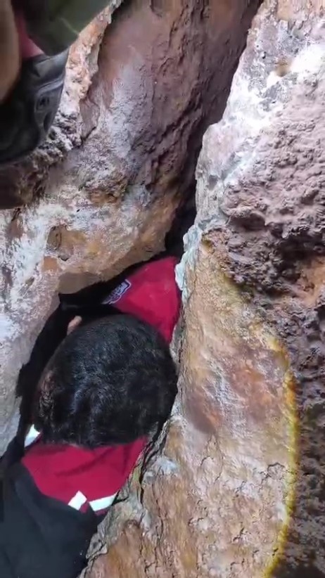 Kaya içerisindeki yarığa düşen 6 yavru köpek için film gibi kurtarma operasyonu
