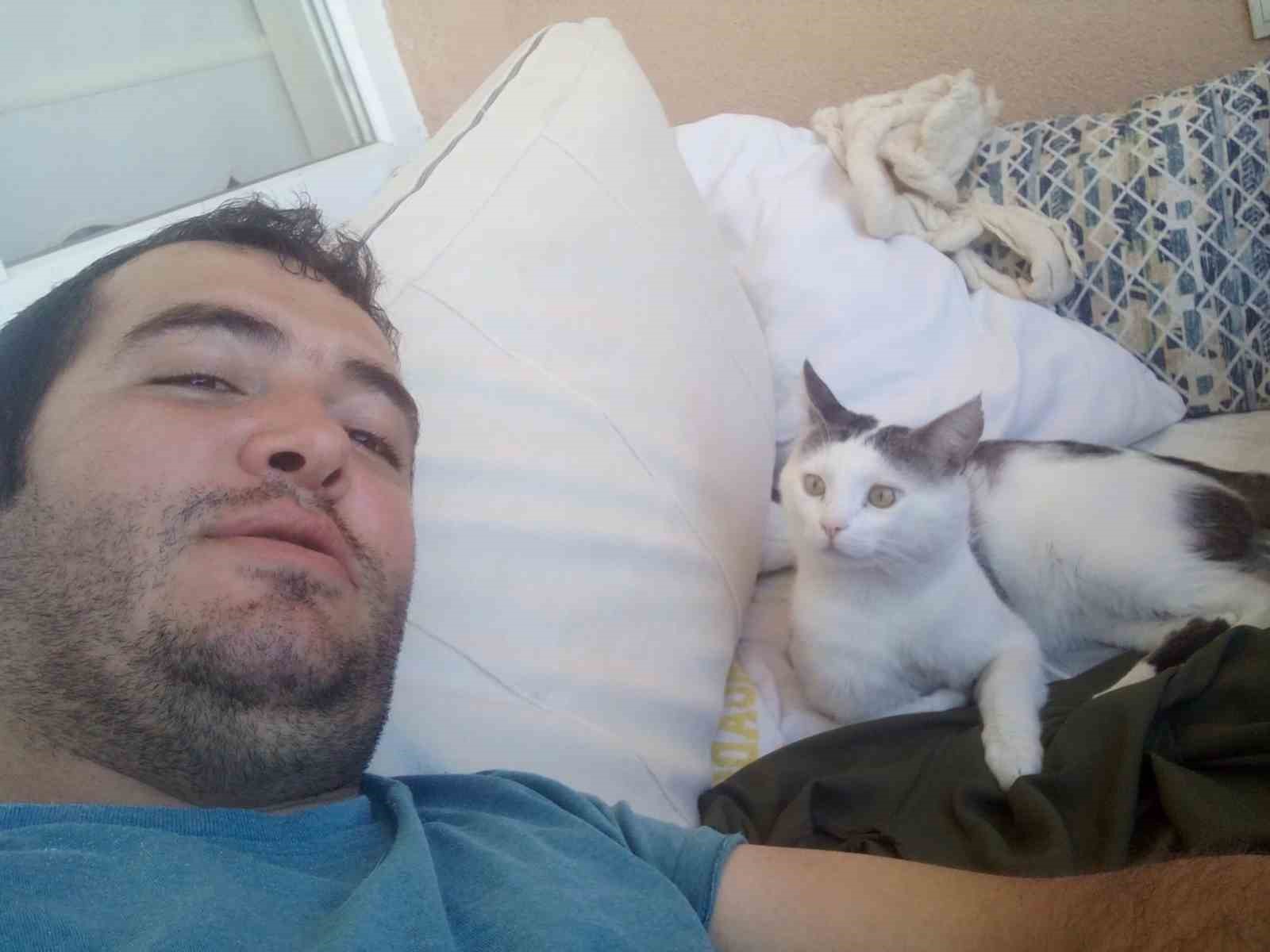 Kaybolan kedisi için binlerce kilometre yol yaptı
Kaybolan kedisi için binlerce kilometre yol yaptı