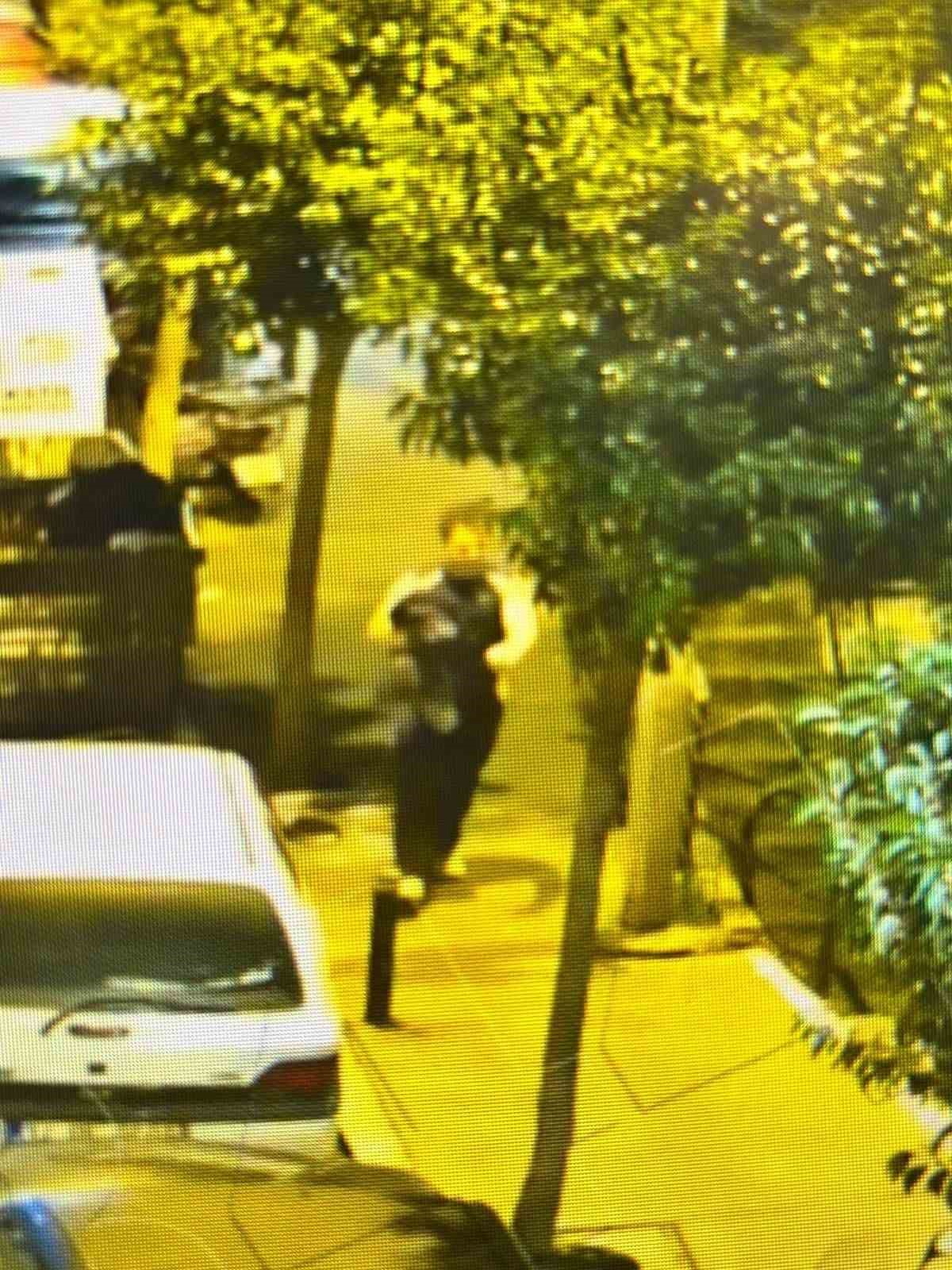 Kayıp olarak aranan üniversite öğrencisi Deniz İbişler’in denize atladığı görüntüler ortaya çıktı
