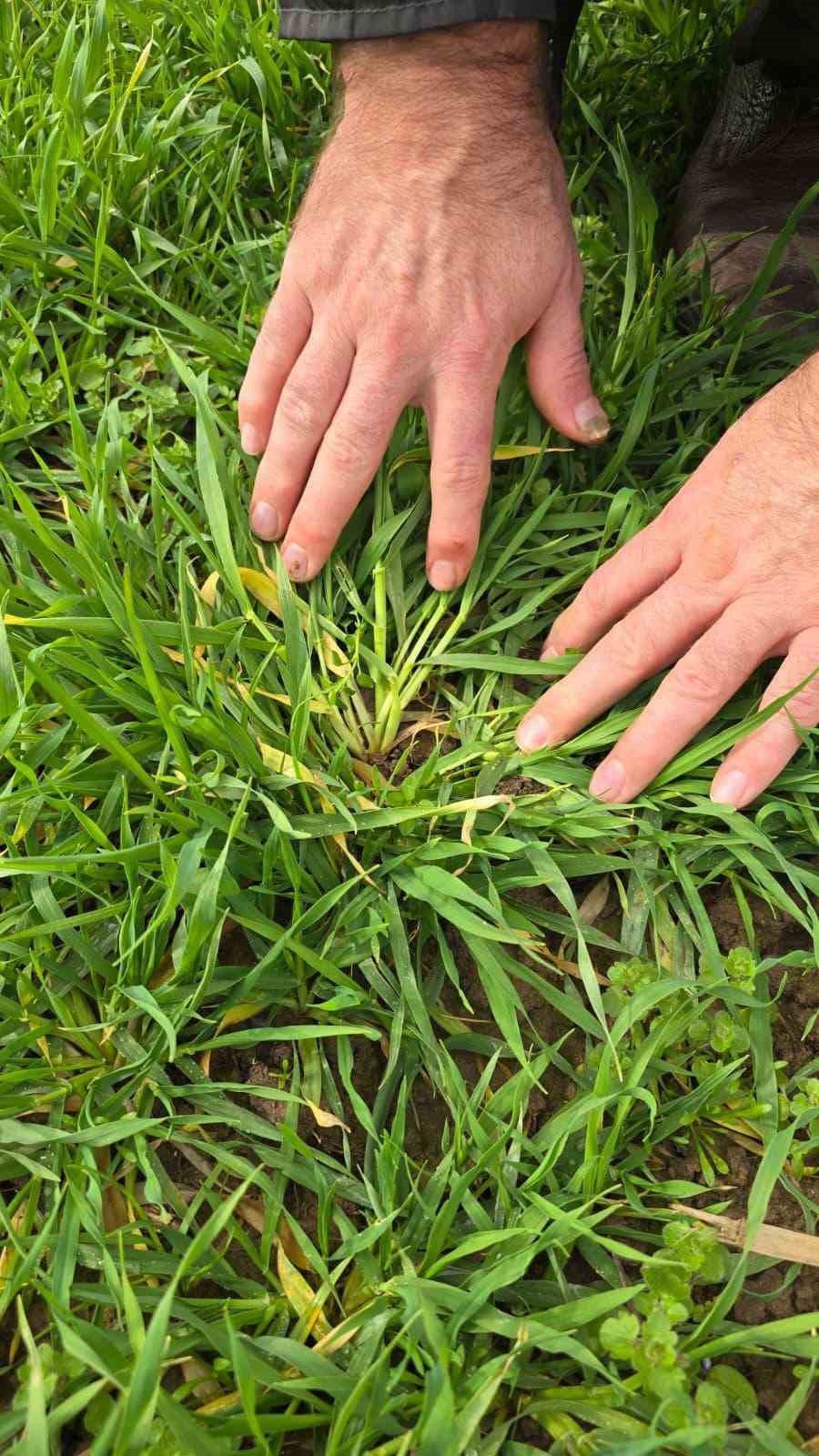 Kayıt altına alınıyor
