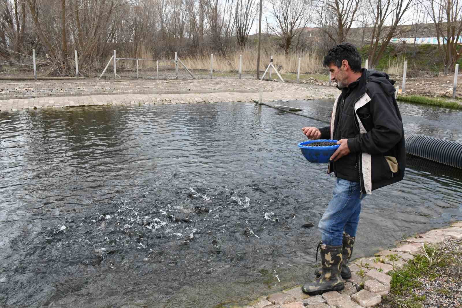 Kaynak suyunda yetişiyor, vatandaş taze taze alıp gidiyor
