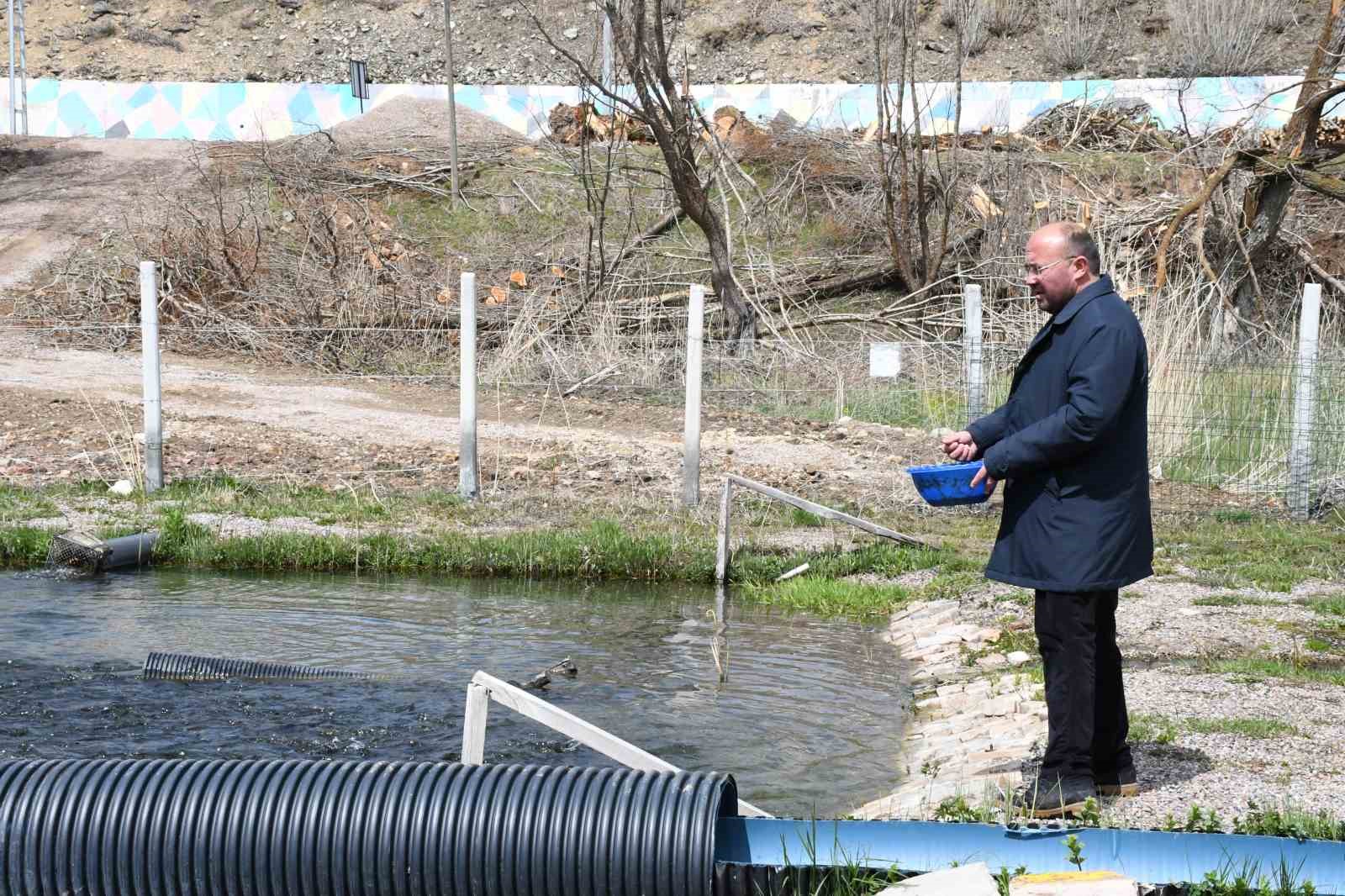 Kaynak suyunda yetişiyor, vatandaş taze taze alıp gidiyor
