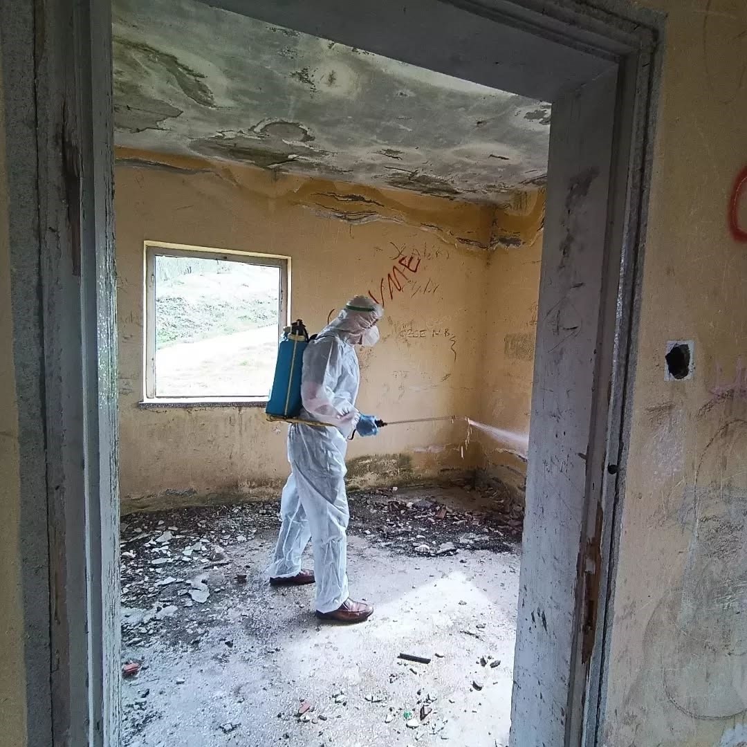 Kaynaşlı ve Yığılca’da Kahverengi Kokarcayla mücadele sürüyor
