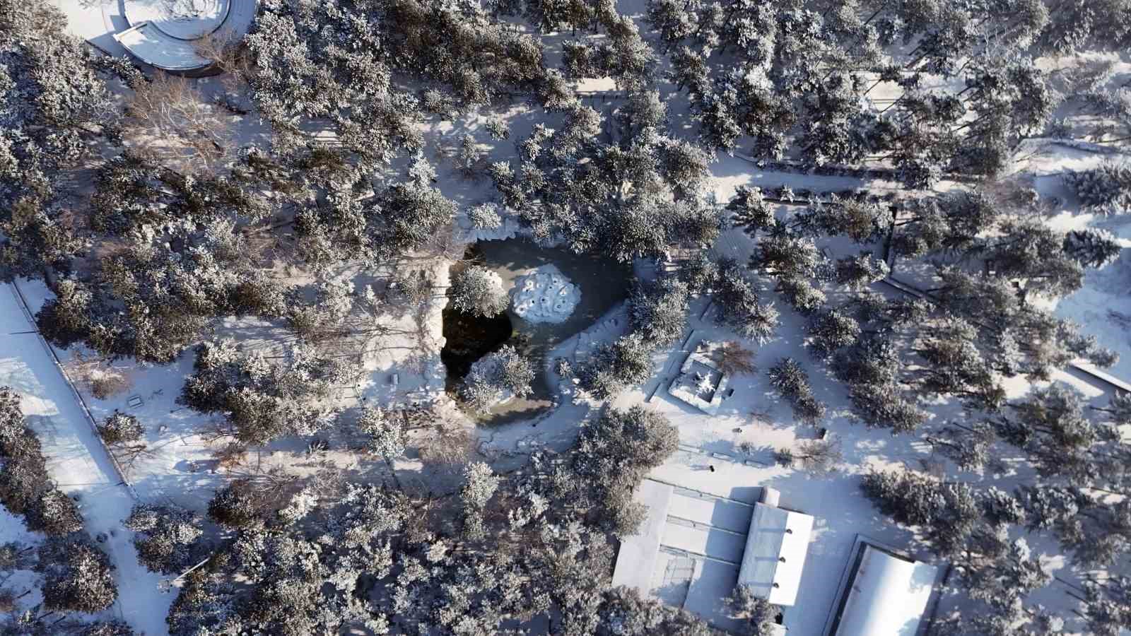 Kayseri buz tuttu: Termometreler eksi 14’ü gösterdi
