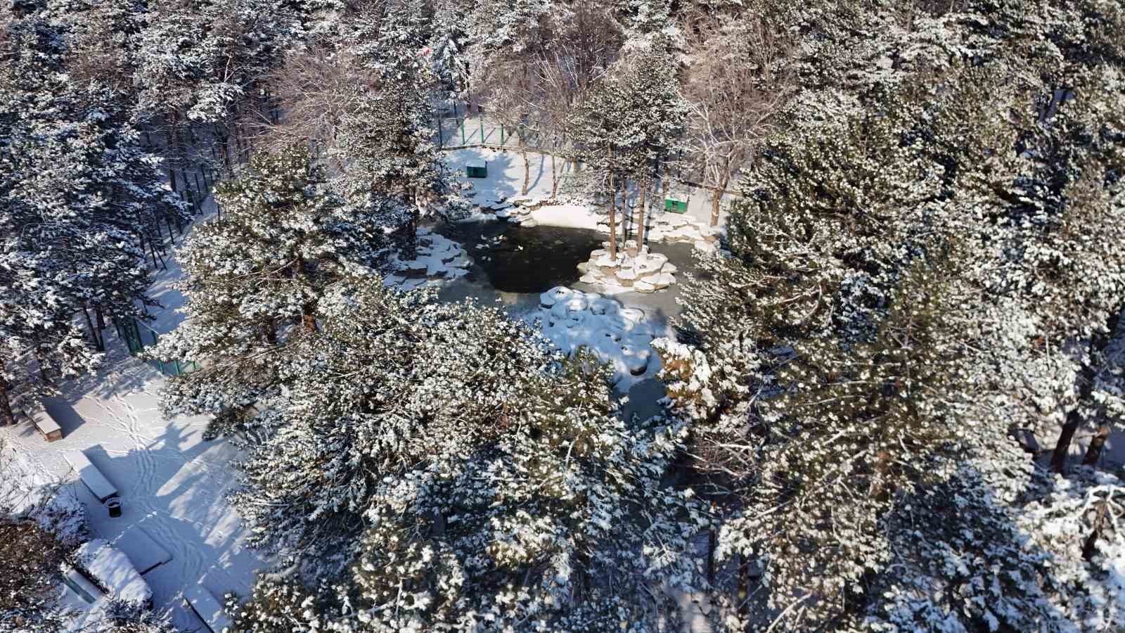 Kayseri buz tuttu: Termometreler eksi 14’ü gösterdi
