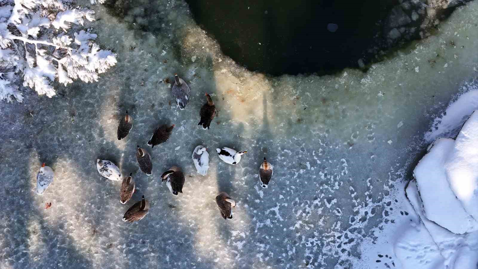 Kayseri buz tuttu: Termometreler eksi 14’ü gösterdi
