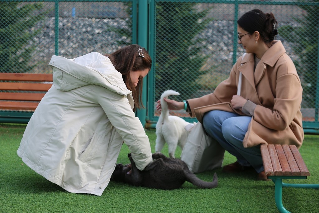 Kayseri’de ilk ve tek küçük dostları Kedi Kasabası, ziyaretçi rekoru kırıyor
Kayseri’de ilk ve tek küçük dostları Kedi Kasabası, ziyaretçi rekoru kırıyor