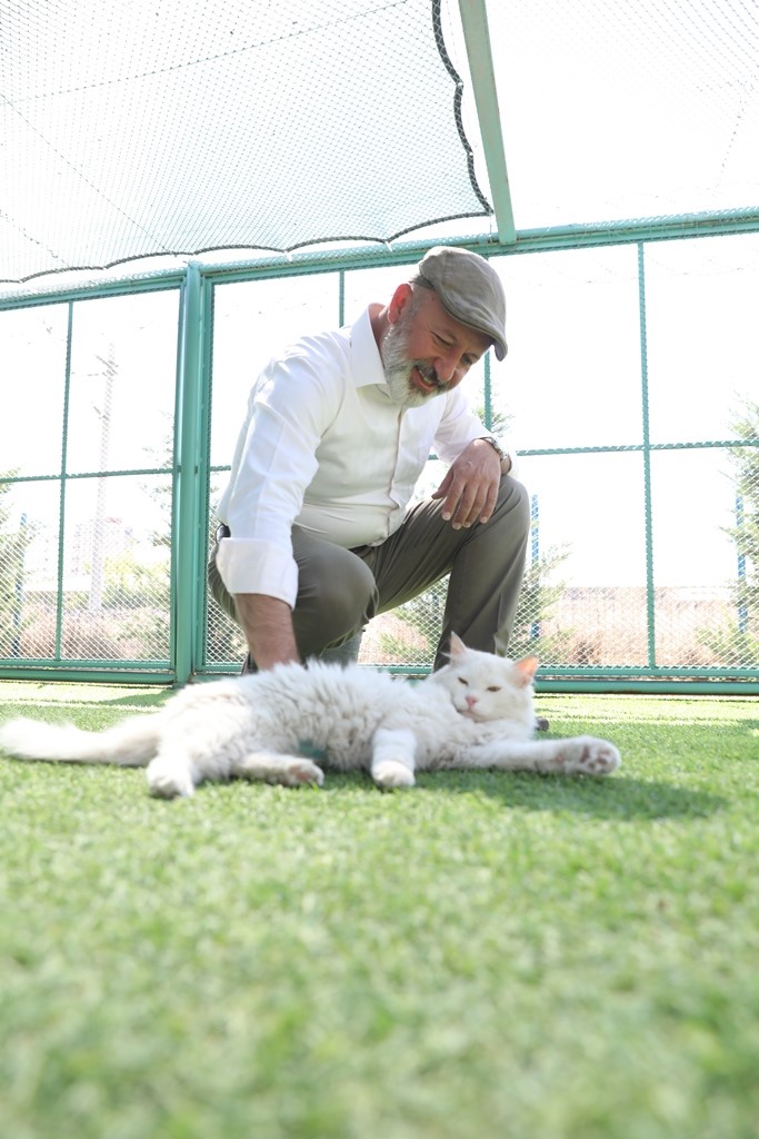 Kayseri’de ilk ve tek küçük dostları Kedi Kasabası, ziyaretçi rekoru kırıyor
Kayseri’de ilk ve tek küçük dostları Kedi Kasabası, ziyaretçi rekoru kırıyor