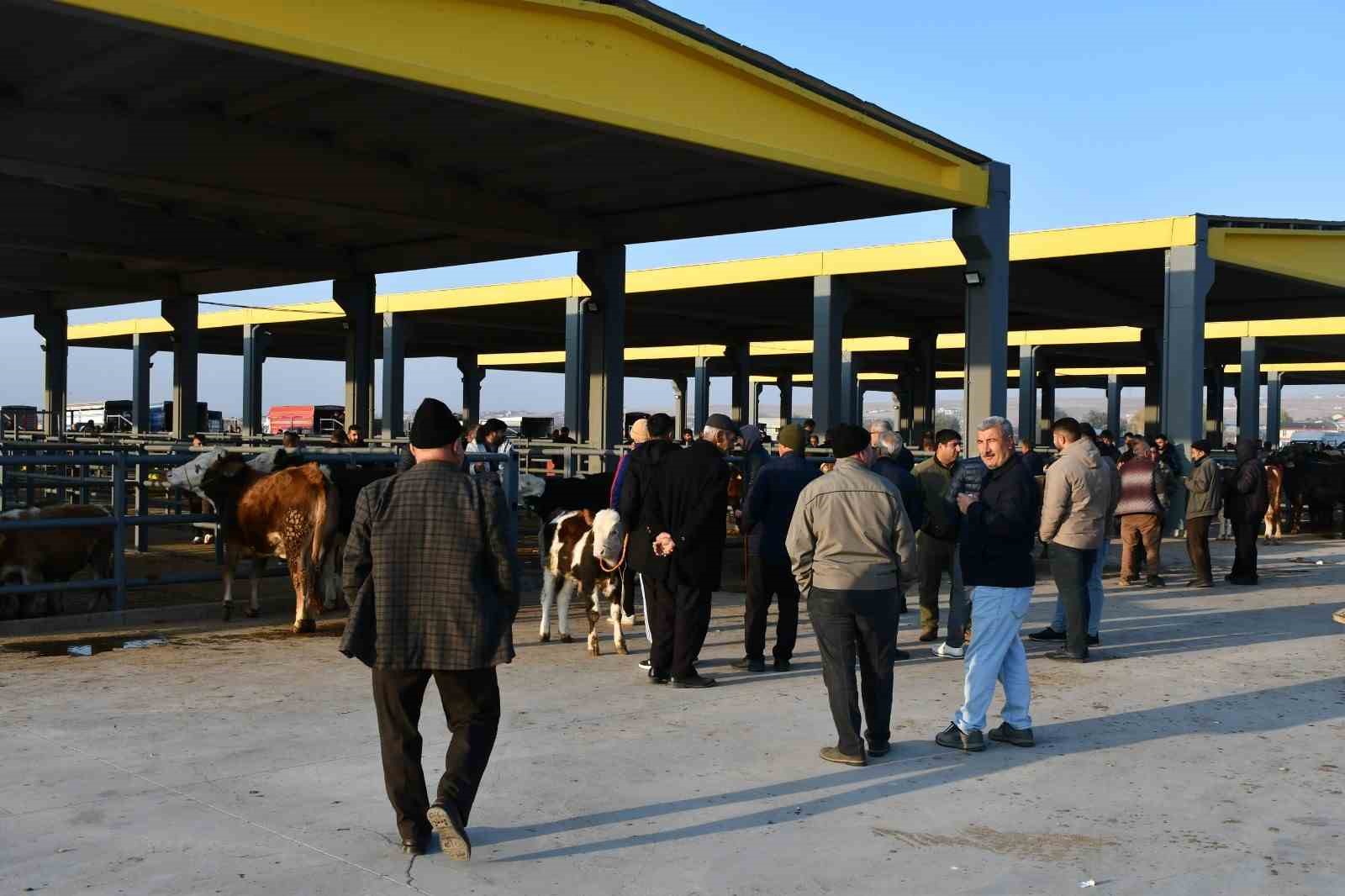 Kayseri’de Kurbanlık Tavsiye Fiyatları açıklandı
