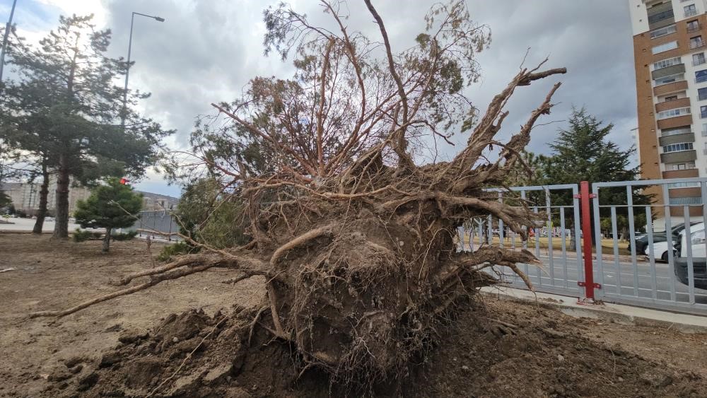 Kayseri’de kuvvetli rüzgarın bilançosu: itfaiye 32 olaya müdahale etti
