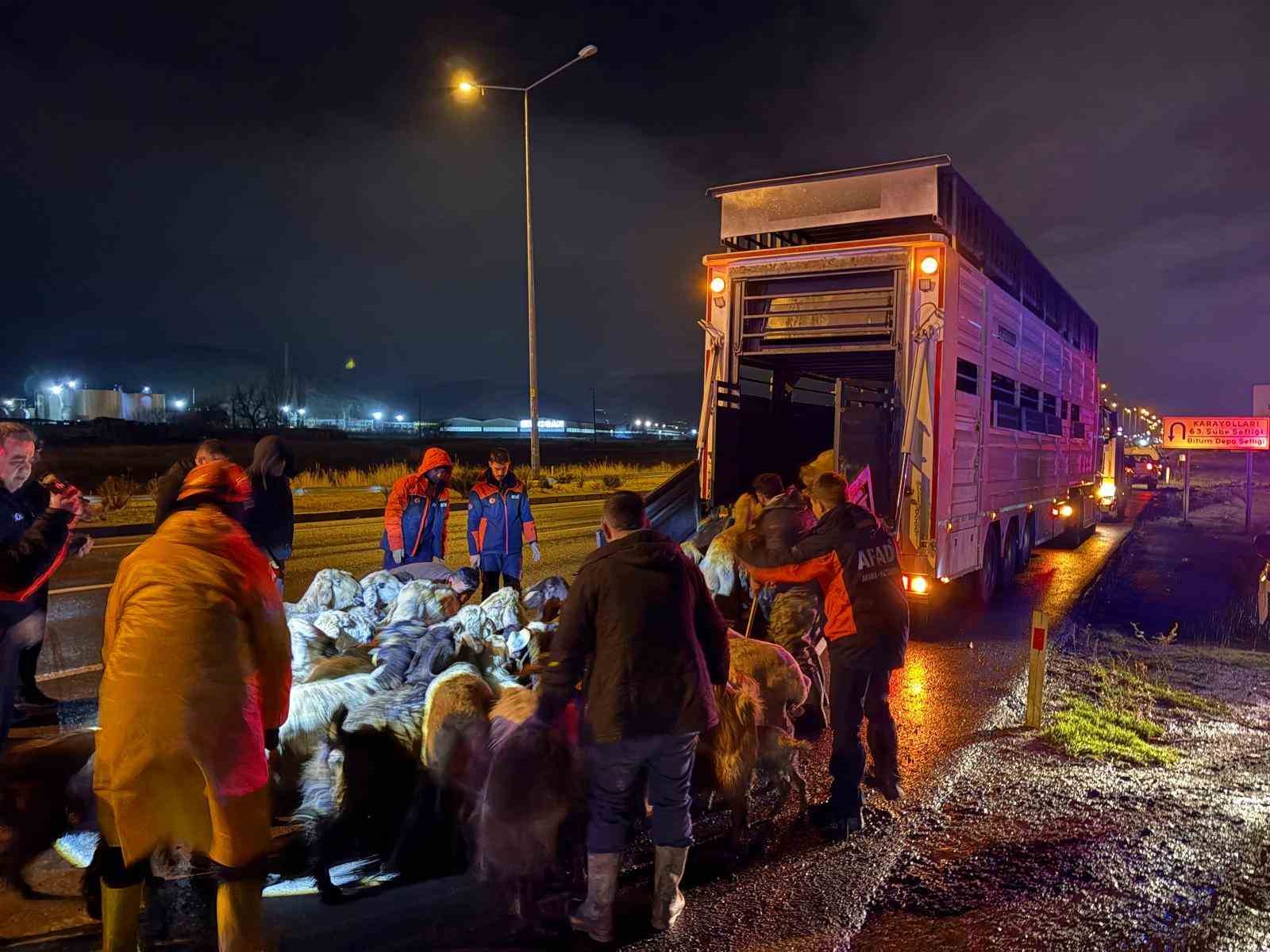 Kayseri’de taşkın riski: 200 hayvan tahliye edildi
